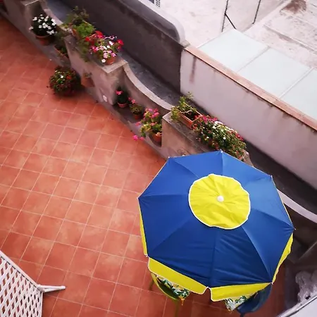 Palomba * Κάπρι