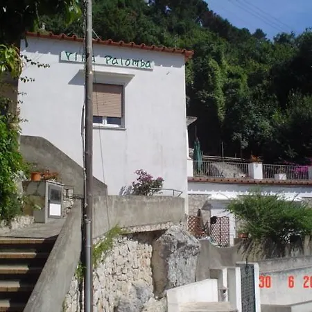 Palomba Κάπρι