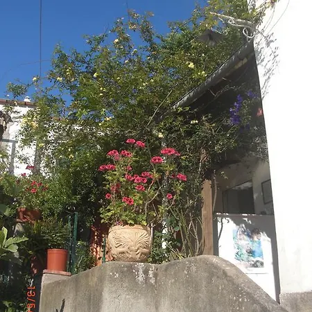 Πανσιόν Palomba