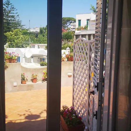 Palomba Guest house *