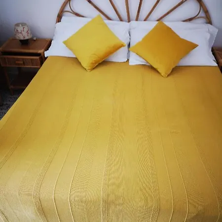 Palomba *