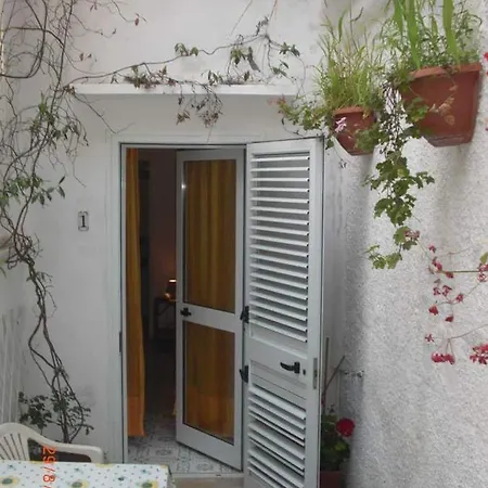 Palomba *